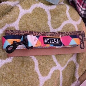 Medium dog leash 4 ft. x 1"